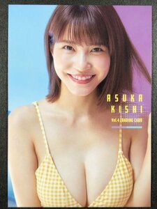 岸 明日香　Vol.４　RG02　水着 グラビア アイドル トレカ トレーディングカード