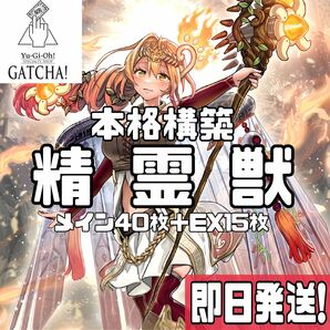 即日発送！霊獣　デッキ　遊戯王　まとめ売り