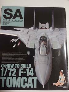 スケールアヴィエーション scale aviation 2011年1月号 特集「How to build 1/72 F-14 TOMCAT/グラビア 手島優」(No.77)