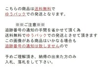 T【3お-68】【送料無料】♪★未使用/三菱/ランサーエボリューション 6 CP9A/純正 フロントバンパーサイドガーニッシュ_画像5