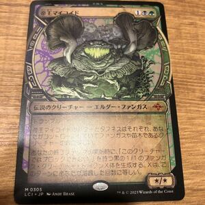 同梱発送歓迎！　MTG 帝王マイコニド　フルアート　日本語版