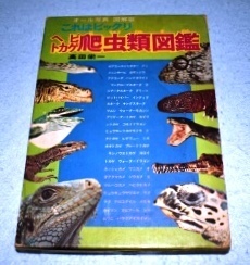  это удивительный змея ящерица рептилии иллюстрированная книга takada . один утро день Sonorama 