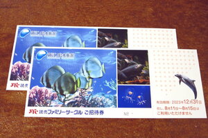 新江ノ島水族館 招待券 ２枚 ☆ 送料無料 ☆