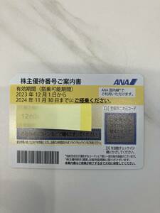 【送料込み】【番号通知OK】 ANA 全日空 株主優待券 1枚 2024年11月30日まで