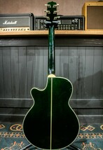 中古　Takamine NPT-115 プリアンプ無し ピックアップ付き　ハードケース付き_画像9