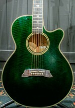 中古　Takamine NPT-115 プリアンプ無し ピックアップ付き　ハードケース付き_画像4