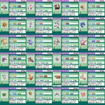 ポケモン エメラルド ふるびたかいず むげんのチケット しんぴのチケット 未使用 配信100↑ 育成済み20↑ ゲームボーイアドバンス GBA_画像7