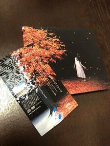 即決 美品 茜さす/everlasting snow 初回A DVD付き Aimer エメ