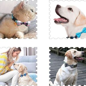 1点限り★ 首輪 犬用 猫用 蝶結び チョーカー 10個セット