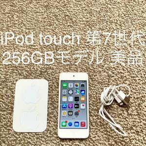 [ бесплатная доставка ]iPod touch no. 7 поколение 256GB Apple Apple A2178 iPod Touch корпус 