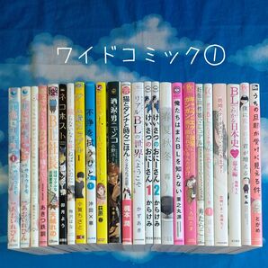 TY100 ワイドコミック/アンソロジー① 24冊 バラ可