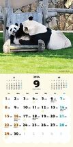 ハッピー＆ラッキーパンダ カレンダー 2024_画像2