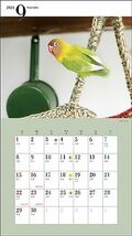 2024年カレンダー かわいい小鳥 (誠文堂新光社カレンダー)_画像3