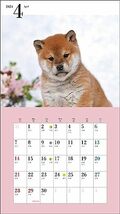 2024年カレンダー かわいい柴犬 (誠文堂新光社カレンダー)_画像9