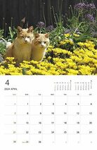 2024 岩合光昭 ねこ monthly calendar_画像2