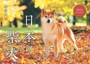 日本の柴犬カレンダー2024（壁掛け）