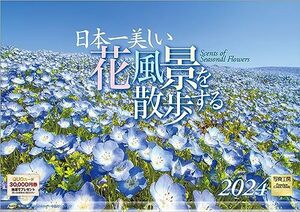 写真工房 『日本一美しい花風景を散歩する』 2024 カレンダー 壁掛け 風景 【420×297 ホルダー付】