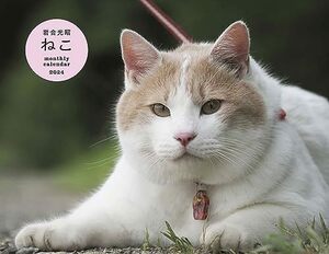 2024 岩合光昭 ねこ monthly calendar