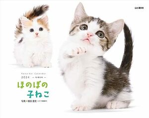 カレンダー2024 ほのぼの子ねこ（月めくり/壁掛け） (ヤマケイカレンダー2024)