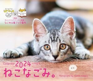 オレンジページ ねこなごみ。卓上カレンダー2024