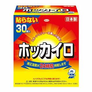 ホッカイロ 貼らない レギュラー 30個入