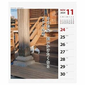 2024年 猫川柳(週めくり)カレンダー No.025の画像6