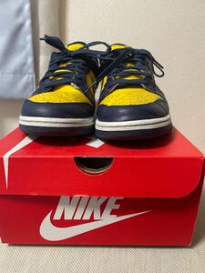 Nike Dunk Low Michigan NIKE AIR JORDAN ナイキダンクSB