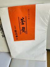 1円スタート〜 未使用 長期保管品 書道半紙 小雪 鶴雲 蒼龍 京都 龍枝堂 まとめて _画像2