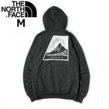 1円～!売切!【正規新品】THE NORTH FACE◆NOV GRAPHIC HOODIE パーカー 2023最新 グラフィック 裏起毛 キャンプ(M)グレー 181130-33_画像7