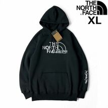 1円～!売切!【正規新品】THE NORTH FACE◆W GRAPHIC INJECTION HOODIE パーカー US限定 メタリックシルバー 裏起毛(XL)黒 181130-23_画像1