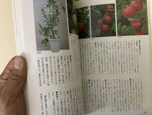 NHK 趣味の園芸実つきをよくする家庭果樹の剪定 /39D_画像6
