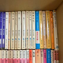 大SET-ш935/ 瀬戸内晴美・寂聴 不揃い82冊まとめ 般若心経 観音経 幻花 色徳 生きることばあなたへ わたしの源氏物語 愛のまわりに 他_画像3