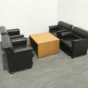 SOFA 5 PEECT SET S-30 с заклинателем Okamura Black использовал RS-862302B