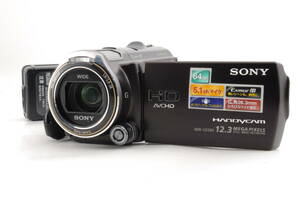 動作品 ソニー SONY HANDYCAM HDR-CX560V ハンディカム デジタルビデオカメラ 充電ケーブル付 管K5052