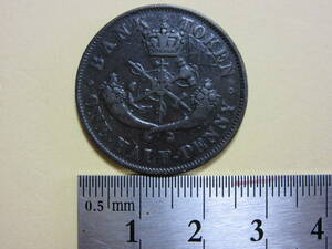 ２４、カナダ　BANK　TOKEN　ONE　HALF　PENNY銅貨　１８５４年　７，６４ｇ