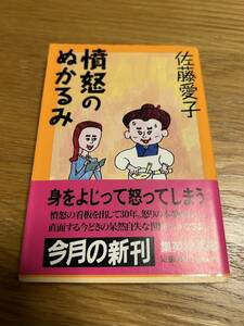 憤怒のぬかるみ　佐藤愛子　集英社文庫