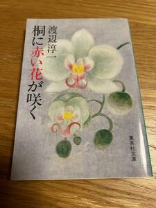 桐に赤い花が咲く　渡辺淳一　集英社文庫