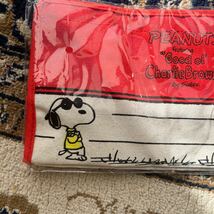 送料込！スヌーピー ティッシュ　ケース　カバー　SNOOPY_画像2