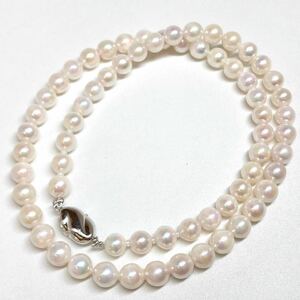 [アコヤ本真珠ネックレス] n 重量約24.2g 約6.0~6.5mm パール Pearl necklace accessory silver シルバー DE0