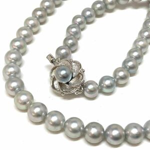 [アコヤ本真珠ネックレス] n 重量約29.6g 約6.5~7.0mm パール pearl Pearl necklace accessory Blue silver シルバー EA0