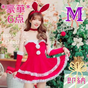 Mベロアセクシーサンタクロース×バニーガールサンタコスプレ サンタクロースクリスマスパーティ クリスマスプレゼント6点☆