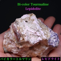 【送料無料】バイカラートルマリン レピドライト 96,7g T590 鉱物　原石　天然石　パワーストーン_画像1