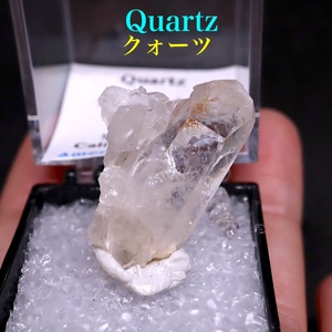 【送料無料】クォーツ サムネイルケース入り 水晶 QZ255 鉱物　天然石　原石　パワーストーン