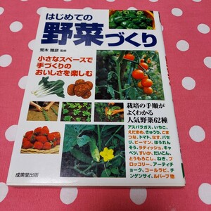 本 はじめての野菜づくり 小さなスペースで手作りのおいしさを楽しむ P191