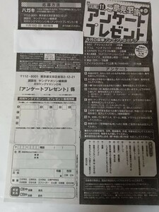 上西怜　クオカード応募用紙　月刊ヤングマガジン 11月号