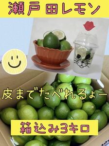 瀬戸田レモン　グリーンレモン　広島レモン　皮ごと食べてね　ノーワックス　産地直送　国産　3キロ　レモン　特別栽培