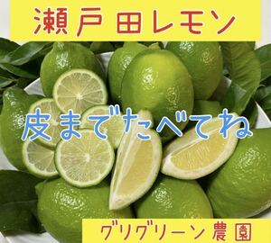 瀬戸田レモン　グリーンレモン　広島レモン　皮ごと食べてね　ノーワックス　産地直送　国産　農家直送　レモン