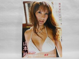 【付属DVD未開封】山本梓 写真集 あずさいじょー 帯付き 初版