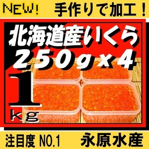 新物!(2023年秋鮭)天然秋鮭大粒イクラ　北海道十勝産秋鮭いくら醤油漬1kg(250gx4)　『手作りで加工』　永原水産　