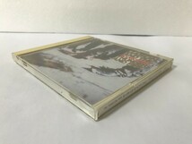 SG036 ジェイソン・アンド・ザ・スコーチャーズ / サンダー・アンド・ファイヤー 【CD】 1029_画像3